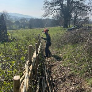 Introduction to Hedgelaying